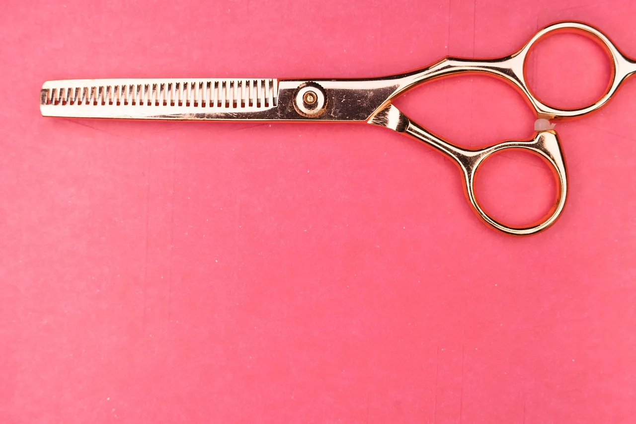 scissors, section, hair, hairstyle, stylist, professional, to cut, fashion, work, atelier, business, people, design, style, profession, service, material, hands, schneider, workshop, craft, seamstress, scissors, scissors, scissors, scissors, scissors, stylist, stylist, stylist, business, people, seamstress. Timing hair services and setting stylist rosters from twelve weeks of bookings