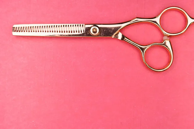 scissors, section, hair, hairstyle, stylist, professional, to cut, fashion, work, atelier, business, people, design, style, profession, service, material, hands, schneider, workshop, craft, seamstress, scissors, scissors, scissors, scissors, scissors, stylist, stylist, stylist, business, people, seamstress. Timing hair services and setting stylist rosters from twelve weeks of bookings