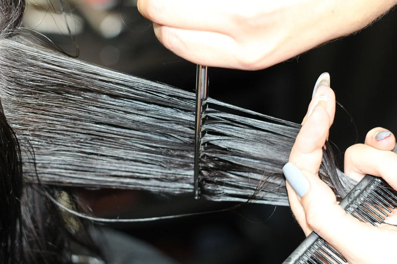 hairdressing, cutting hair, haircut, hair, comb, hair cut, scissors, hairdresser, cut, cutting, gray hair, haircut, haircut, haircut, hair cut, hair cut, hair cut, hair cut, hair cut, hairdresser. Hair Salon Operations for Owners: Rosters, Chair Minutes and Pay Models