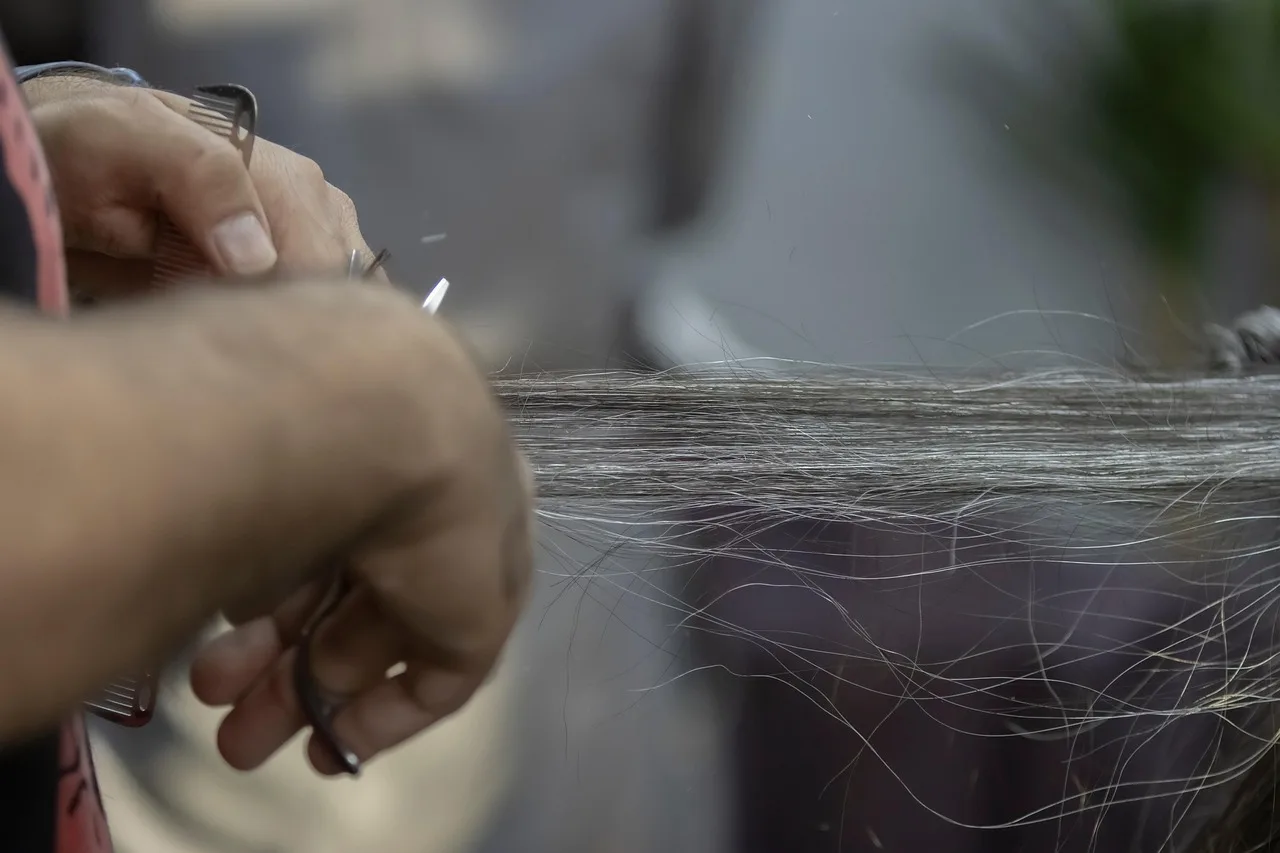 barbershop, haircut, hair, hairstylist, salon, personal stylist, barber, work, job, business, lifestyle, iranian, persian, mashhad city, iran, stylist, barberman, shop, hairstyle, jorj barber, canon photography, fashion, mode, hair salon, beauty salon, hair salon, hair salon, hair salon, hair salon, hair salon. Hair salon labor costs: pay forms, 2027 raises and a roster
